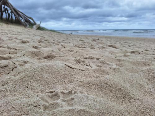 Ballina Beach Nature Resort