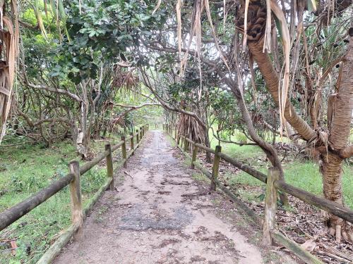 Ballina Beach Nature Resort