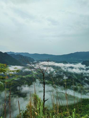 Hợi liên homestay