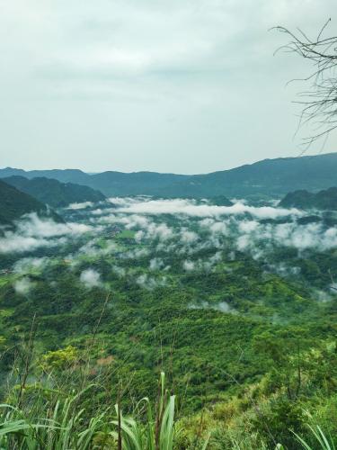 Hợi liên homestay