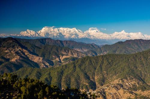 BluSalzz Collection - Binsar Eco Resort, Binsar - Uttarakhand