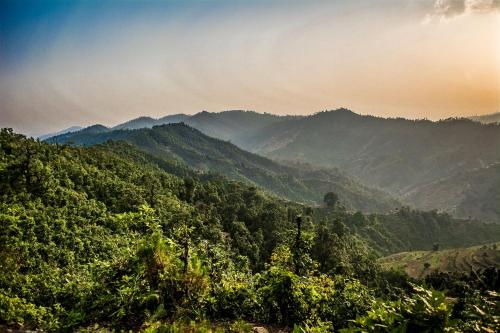 BluSalzz Collection - Binsar Eco Resort, Binsar - Uttarakhand