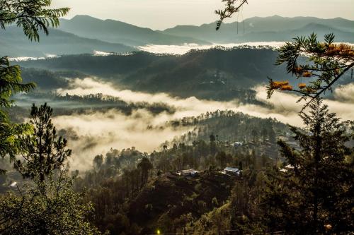 BluSalzz Collection - Binsar Eco Resort, Binsar - Uttarakhand