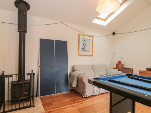 Pippin MARTIN (Near New Forest) - image 5