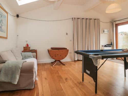 Pippin MARTIN (Near New Forest) - image 6