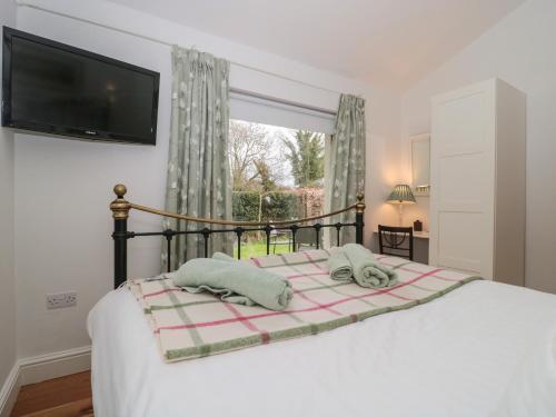 Pippin MARTIN (Near New Forest) - image 2