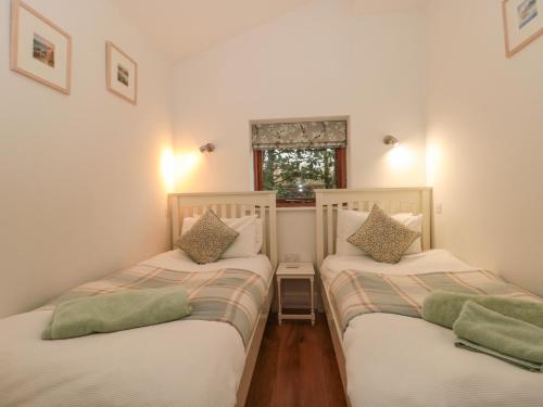 Pippin MARTIN (Near New Forest) - image 12