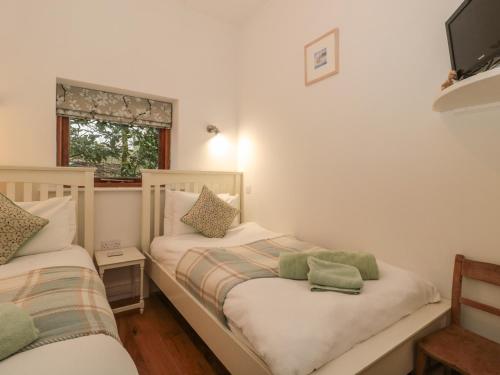 Pippin MARTIN (Near New Forest) - image 3