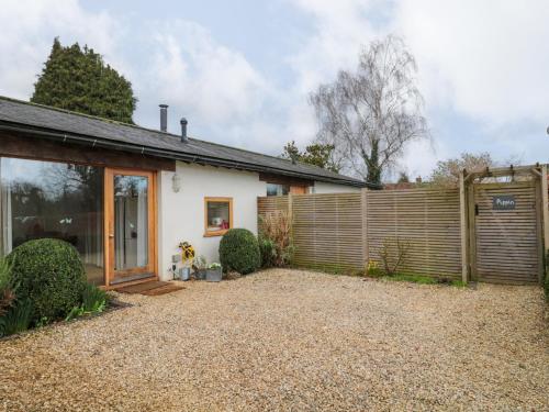 Pippin MARTIN (Near New Forest) - image 4