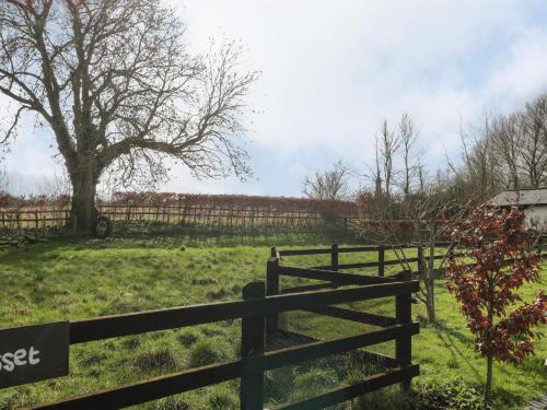 Pippin MARTIN (Near New Forest) - image 9