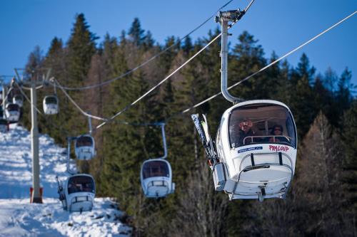 Double Room with Ski Slopes View and Terrace