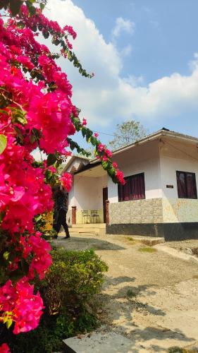 CHITHRANJALI RESORT & HOME STAY