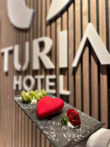 Hotel Turia Valencia - image 4