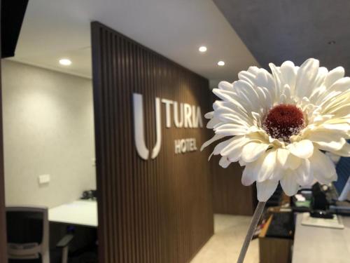Hotel Turia - image 10