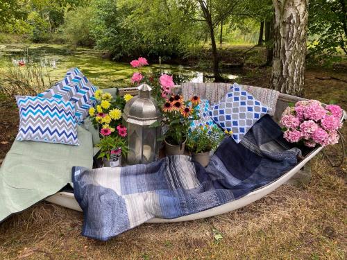 Holly's Lodge in Wellington (Herefordshire)
