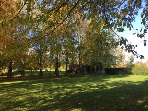 Dārzs, Holly's Lodge in Wellington (Herefordshire)