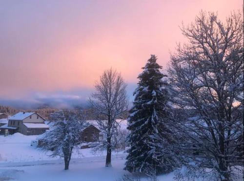 Studio chaleureux au départ des sentiers et pistes de ski