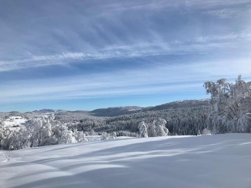 Studio chaleureux au départ des sentiers et pistes de ski