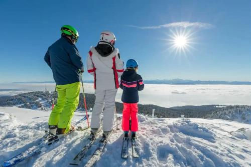 Studio chaleureux au départ des sentiers et pistes de ski