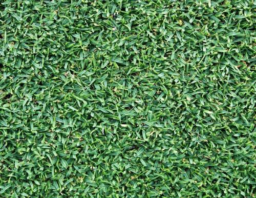 スイス シャレー20