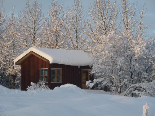 Guesthouse Pétursborg 4