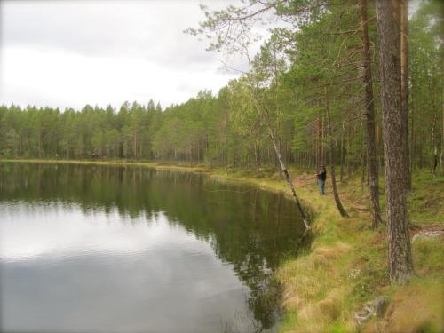 Ellis Gården - main image