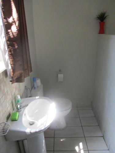 Leopard Tree Retreat Leopard Tree Retreat