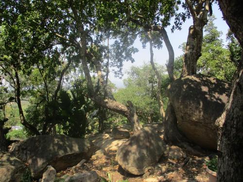 Leopard Tree Retreat Leopard Tree Retreat