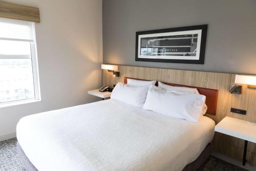 One-Bedroom King Suite with Sofa Bed image 2