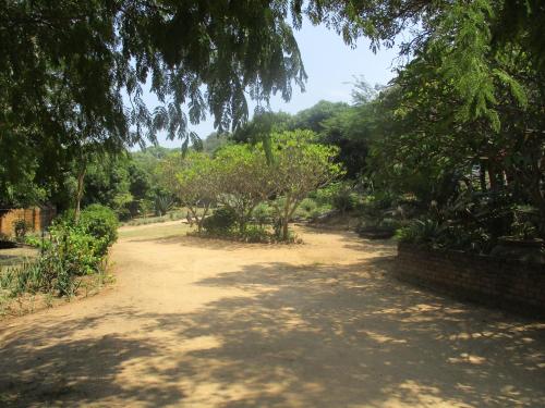 Leopard Tree Retreat Leopard Tree Retreat