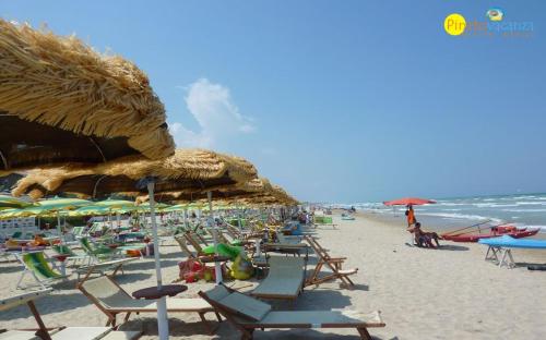 Narciso Fronte Mare - Pineto Vacanza