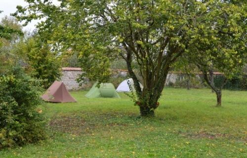 Fontaineblhostel hostel & camping near Fontainebleau