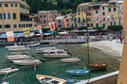 Alrededores, Papù by PortofinoVip (Papu by PortofinoVip) in Portofino