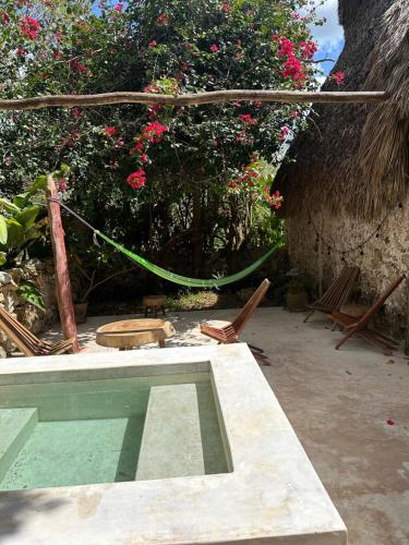 Hacienda Guesthouse with Private Cenote in Espita, Mexico
