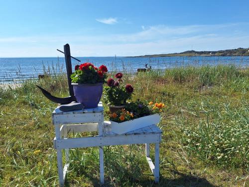 . Feriehus ved Barentshavet - Holiday home by the Barents Sea