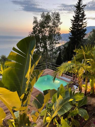 Modern Seaview Villa with Pool above Monaco - Accommodation - Grimaldi