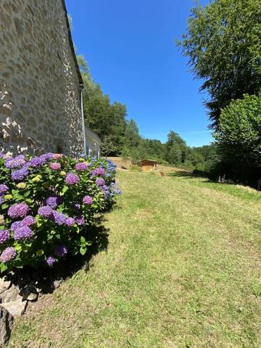 La Maïoun, entourée de la forêt au calme