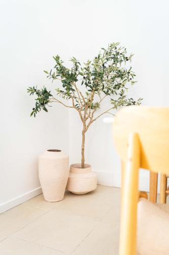 Spacieux T2 au coeur de la Camargue - 10mn Plage Spacieux T2 au coeur de la Camargue - 10mn Plage