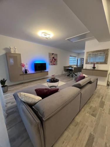 Natur und Stadt, neben Mannheim, Heidelberg, Worms in Lampertheim