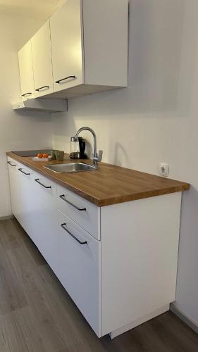 One-Bedroom Apartment image 2