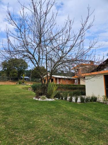 cabañas en zacatlan in Zacatlán, Mexico