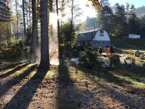 Barn Vibes + Petting Zoo + Hot Tub! in Sugar Grove, USA