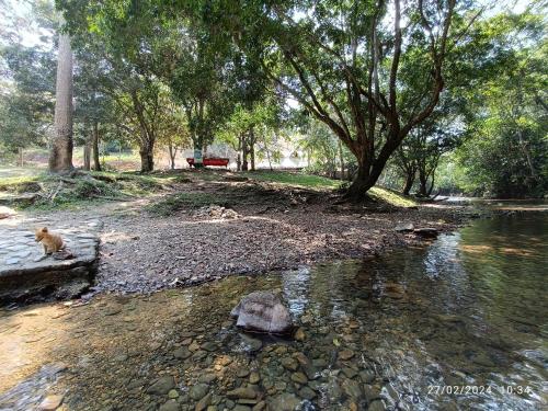 La ceiba casa campestre in Aguadas