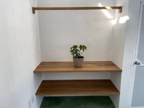 Casa Maya en el mejor lugar de Puerto Escondido