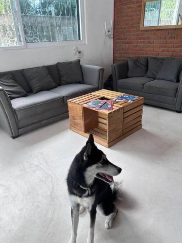 Casa Maya en el mejor lugar de Puerto Escondido