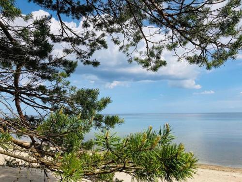 Wild rose: Cozy place in Ķesterciems near the sea (Wild rose: Cozy place in Kesterciems near the sea) in 奇斯特斯姆斯