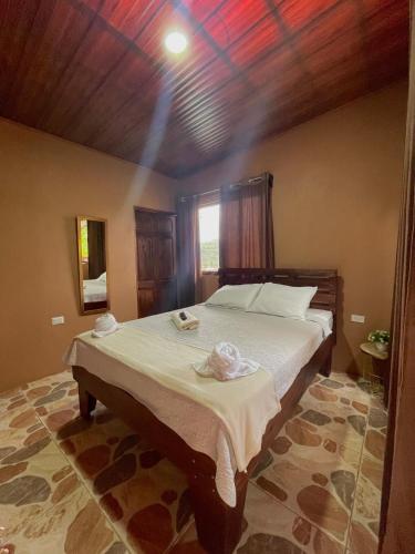 Dreams Lodge Orosi in 卡塔戈