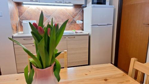 Penzion V Roklich - main image