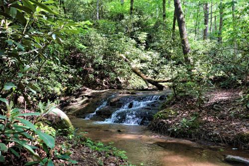 Dreamcatcher- Pet Friendly- Mirror Lake-Waterfall cabin in Lake Lure, USA