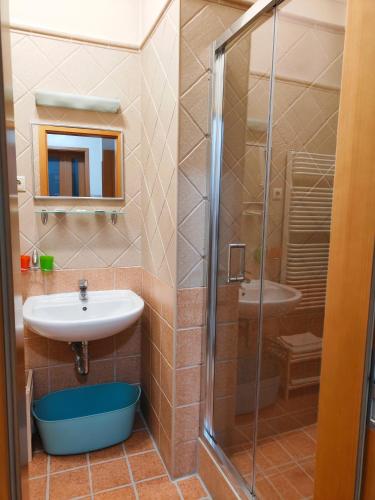 King Apartment, Budapešť (fotografie 7)